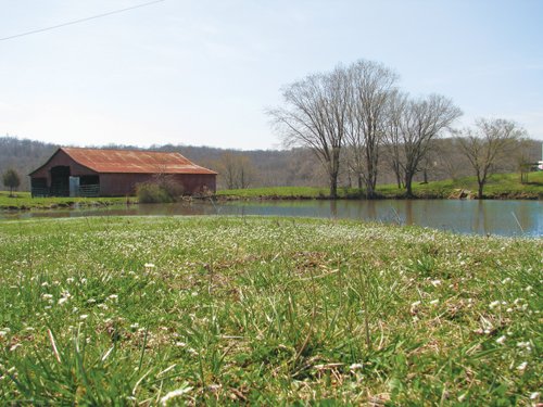 Property photo 42 - 137 Acres in 2 Tracts - 64 Tillable Acres, Potential Building Sites, Hunting